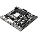 Produktbild Asrock FM2A75 Pro4-M Mainboard Sockel FM2 (Micro ATX, AMD A75, 4X DDR3, D-Sub, DVI-D, HDMI, 5X SATA III, 1x eSATA III, 4X USB 3.0)