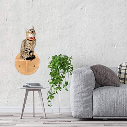 Prateleiras para gatos degraus para gatos, escada de parede para gatos, escadas de parede para anima