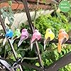 LWINGFLYER 6pcs Tiny Colorful Fake Birds Mushroom Arts and Crafts Foam Birds Figures 2-Inch with Attached Magnet for Fairy Garden Micro Landscape Decoration Birdcage #4