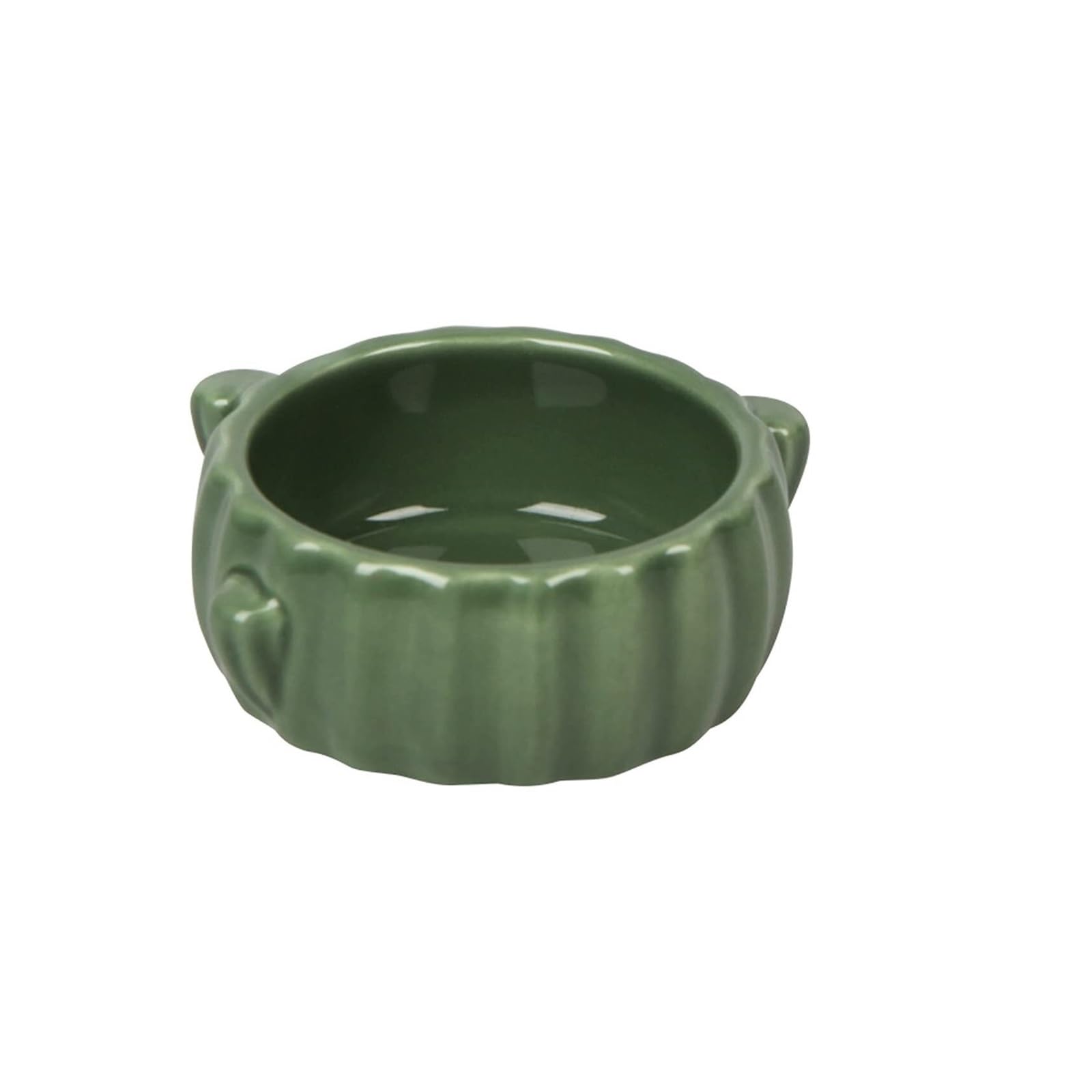 Casa in ceramica a forma di cactus, ciotola per cibo, bottiglia d'acqua, supporto per criceti siriani, gerbilli, piccoli animali domestici, habitat per piccoli animali, accessori per criceti (3 pezzi)
