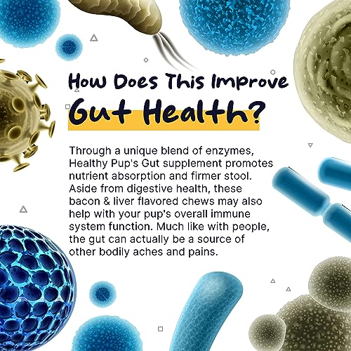 Dog Probiotics and Digestive Enzymes, 120 Delicious Chew Treats for Gut Health, Diarrhea, and Constipation – Hydrolyzes Nutrients for Better Absorption Dog Probiotics and Digestive Enzymes, 120 Delicious Chew Treats for Gut Health, Diarrhea, and Constipation – Hydrolyzes Nutrients for Better Absorption