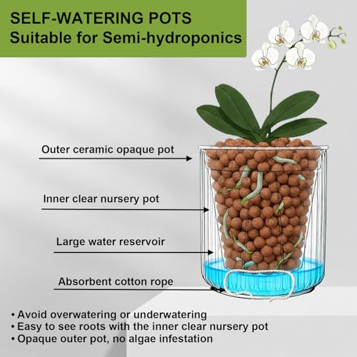 Pot à orchidée avec drainage pour éviter le pourrissement - 5
