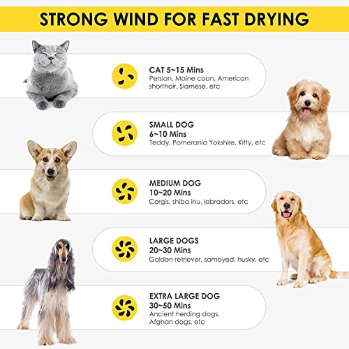 Dog Dryer, Professional Dog Hair Dryer With Led Screen 8 Adjustable Speeds & Temp Dog Blow Dryer High Velocity Low-Noise… - Image 5