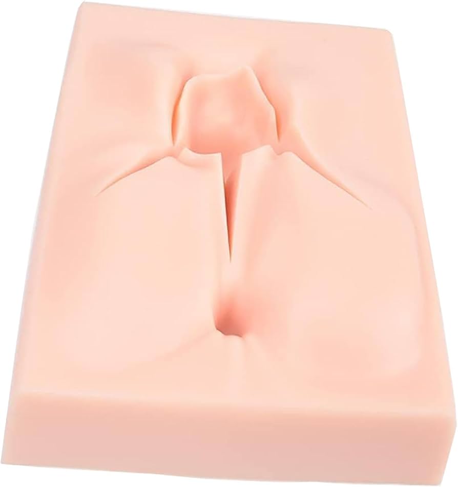 医学用女性陰部写真