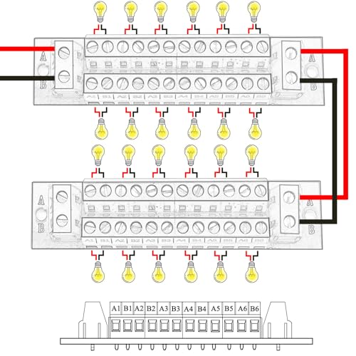 Module de distribution d'alimentation 16 A à double rangée 24 bornes