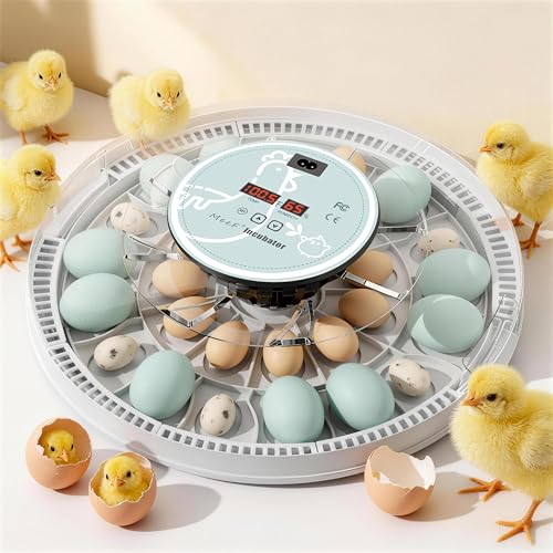 MeeF incubators for Hatching 28 Eggs,Independent atomizing humidifier, Auto Flip, Additional Equipped Well as Duck and Goose Egg Trays That can Hold 12 Eggs.(White)