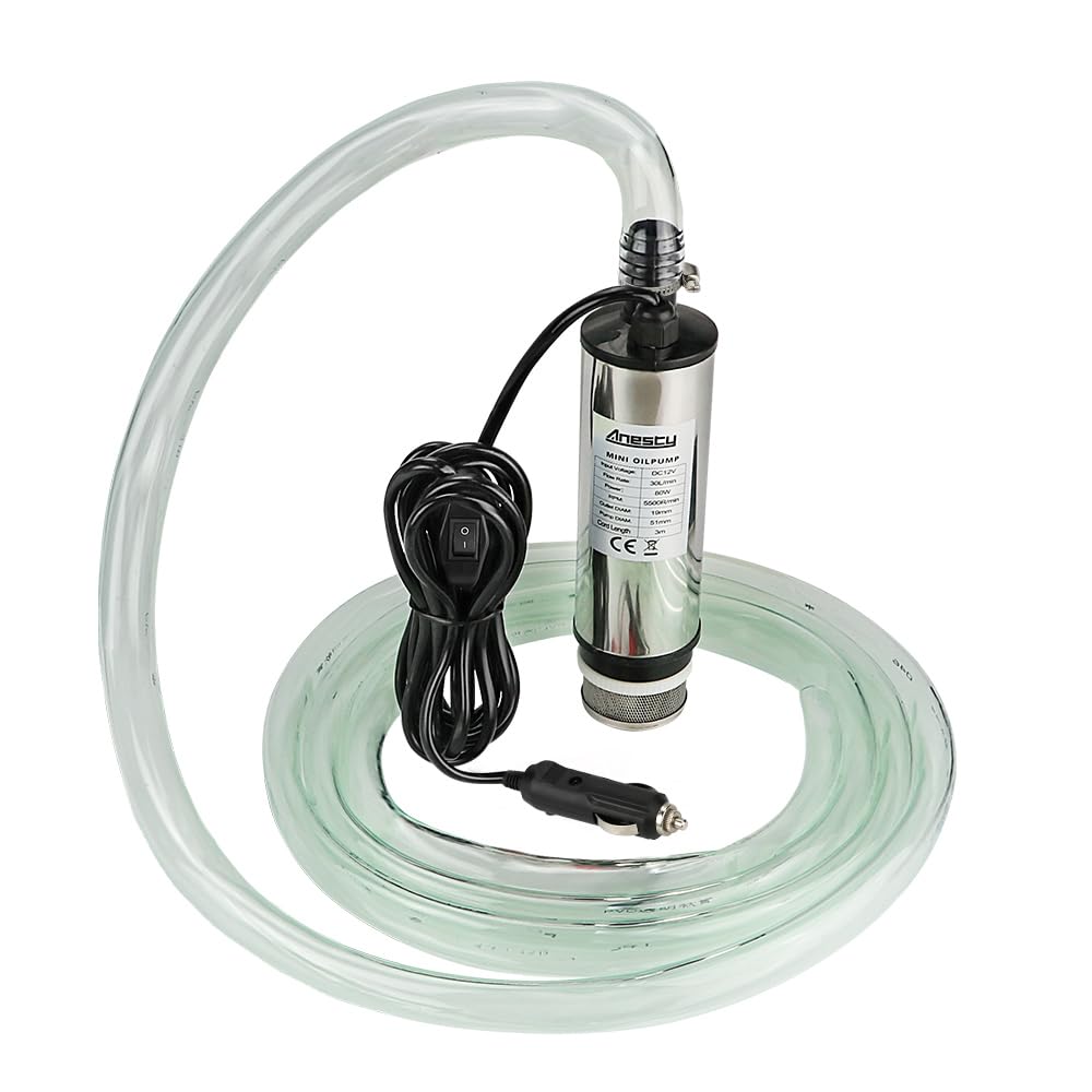 Pompa di trasferimento in acciaio inox, 12 V, Φ51 mm, pompa sommersa per auto, diesel, olio combustibile, olio combustibile, pompa con accendisigari, filtro estraibile, cavo da 3 m, tubo trasparente