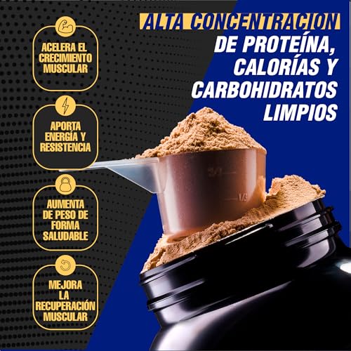Healthy Fusion Extreme Gainer | Con Proteína Whey, Magnesio, Harina de Avena y Maca | Alto contenido en Hidratos de Carbono | Sabor chocolate | 1,5kg - Imagen 4