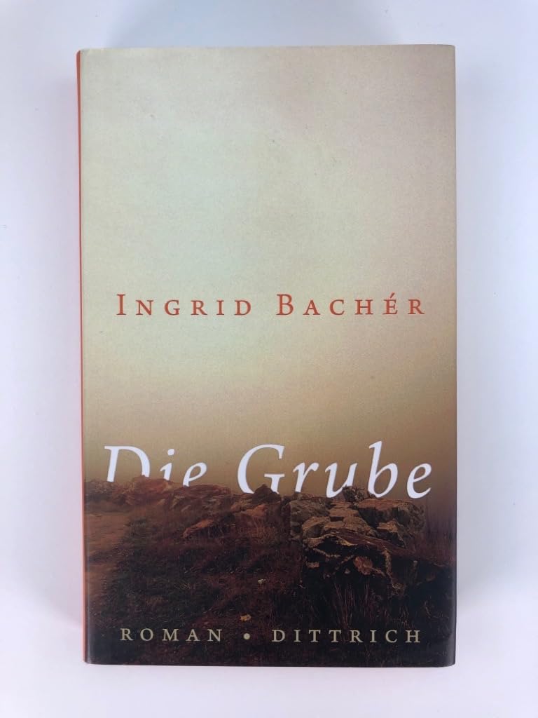 Die Grube: Roman