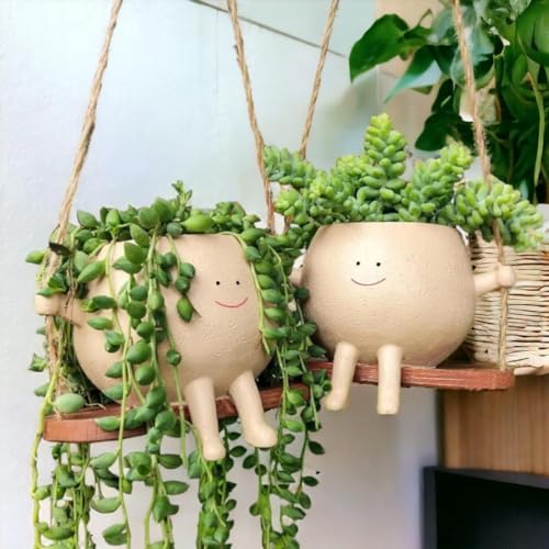 Image of Hanging Smiley Planter Pot - Cute Swing Style Resin Pot for Succulents, Balcony & Indoor Outdoor Home Decor | No Plants or Floral Included (Swing Face Planter Pot)