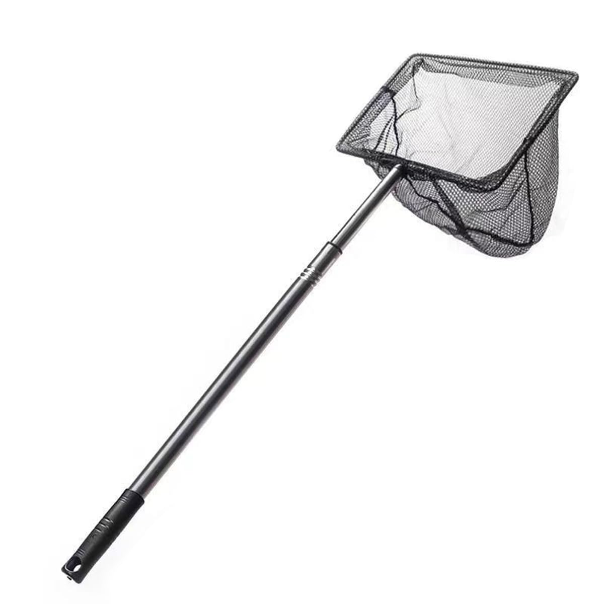 Stainless Steel Telescopic Landing Net, Foldable Fishing Net with Non-Slip Handle (50-84 cm) for Pond, Garden, Pool & Outdoor, Robust Fishing Accessories for Catching Fish, Crayfish, Insects and
