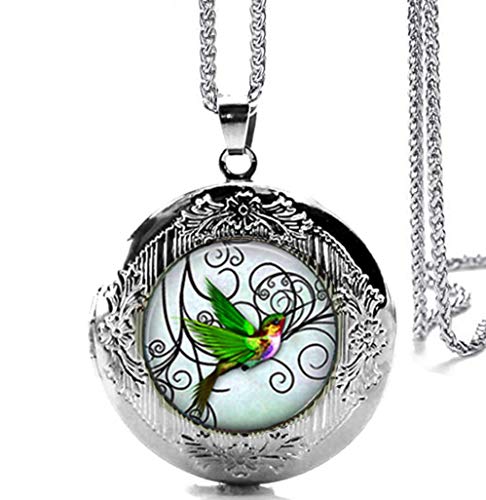 DianaL Boutique Silver Tone Hummingbird Locket Bird Pendant Necklace with