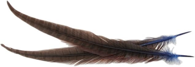 ZUCKER Pheasant Ringneck Tails Dyed - Designer Mix