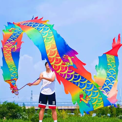 Chinois dragon streamer de 6 mètres avec tête de dragon carré danse - 4