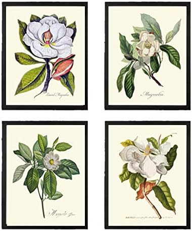 Amazon.com: LoveThePrint White Magnolia Flower Wall Art Home Decor ...