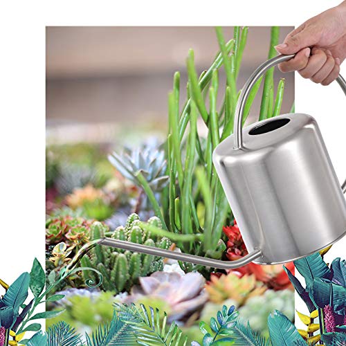 Arrosoir en acier inoxydable 0,3 l/0,9 l/1,3 l/1,5 l/2 l or ou argent pour plantes de maison avec poignée confortable, bec long, corps solide pour l'intérieur et l'extérieur