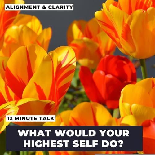 What Would Your Highest Self Do? - Wisdom Talk