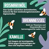 Faith In Nature Natürliches Rosmarin-Shampoo, stimulierend für normales Haar & Kopfhaut, vegan & tierversuchsfrei, ohne SLS, Silikone oder Parabene, 400 ml