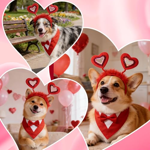 Disfraz de San Valentín para perro tamaño mediano miniatura 7