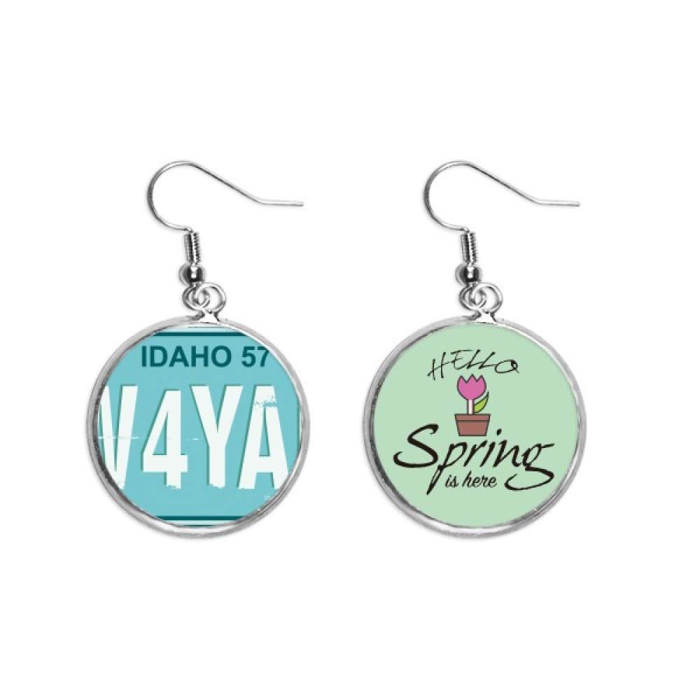 Pendientes de matrícula americana para pendientes originales de mujer 5