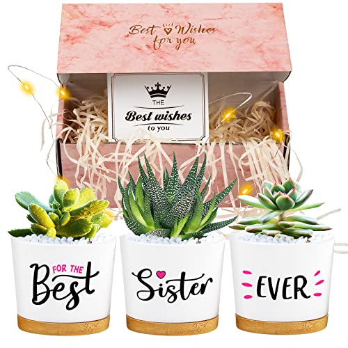 Product Image of the Sister Gifts from Sister or Brother - Sister Birthday Gifts from Sister, Bestfriend Gifts for Women,Graduation Gifts for Sister,Thanksgiving for Women Plastic Succulent Pots with Beautiful Gift Boxed