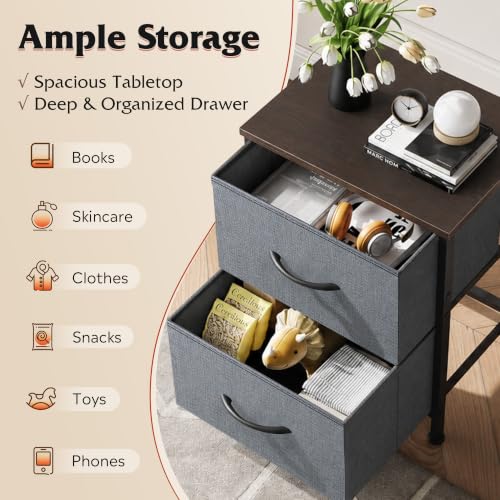WLIVE Nightstand, 2 Drawer Dresser for Bedroom, Small Dresser with 2 Drawers, Bedside Furniture, Night Stand, End Table with Fabric Bins for Bedroom, Closet, Entryway, College Dorm, Dark Grey