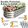 Vivagarden Galvanized Raised Garden Bed Outdoor, Large Raised Bed for Gardening, 4x2x1ft Metal Planter Box for Vegetables, Fruits, Flowers, Easy Assembly with Wing Nuts & Safe Rolled Design, Silver #1