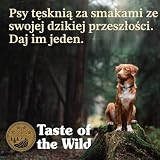 Taste of the Wild Wysoka preria z prażoną dziczyzną i żubrem 5,6 kg