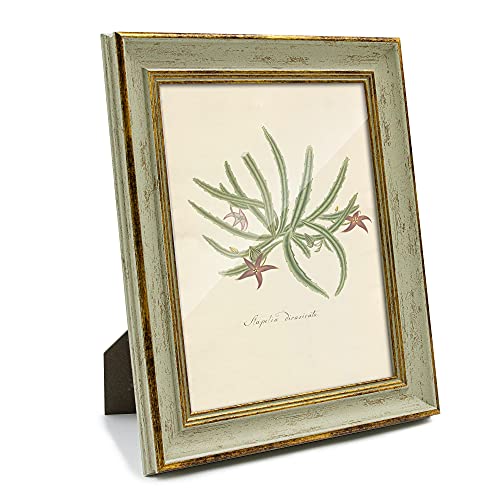 Sapowerntus Vintage 8X10 Picture Frame Gold Line Sage Green Distressed Photo Frames Set Antique Wall Hanging Tabletop Display Home Decor Retro Shabby Chic Elegant Family Unique Gift #TOP7