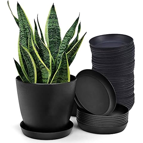 Juego de 20 Platos para Macetas Wenxiaw Cover