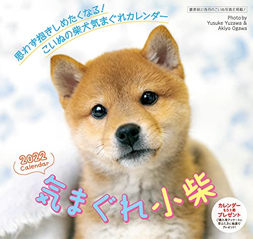 2022気まぐれ小柴カレンダー