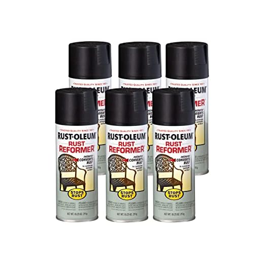 Rust-Oleum Stops Rust Reformer Spray
