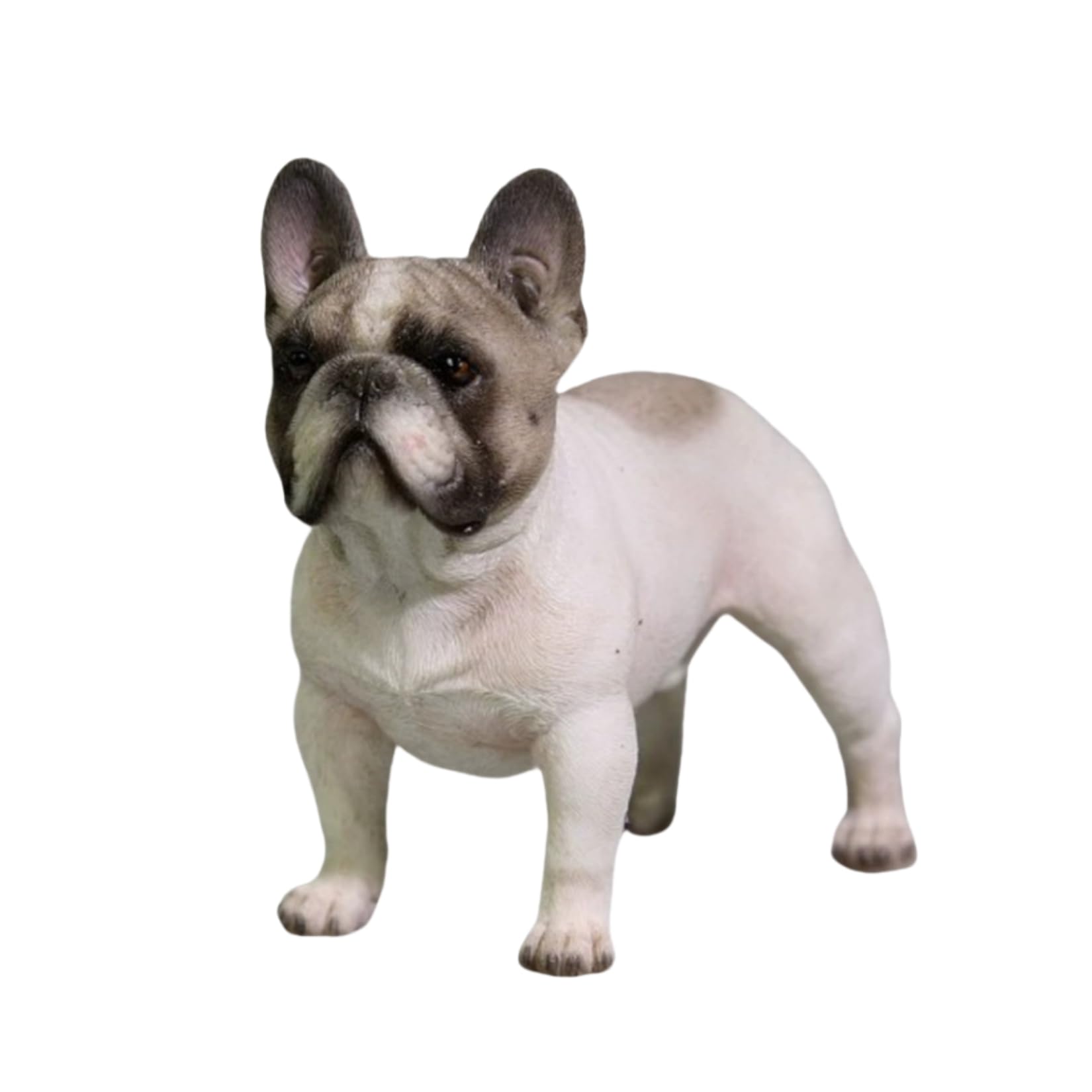 Amazon.co.jp: JXK 1:6サイズ フレンチ·ブルドッグ 8cm 犬 動物 リアル