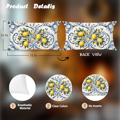 Image of Summer Lemon Coastal Pillow Cover 12x20 Double-Sided,Italian Lemon Fruit Home Decor,Blue and Yellow Amalfi Coast Party Decorative Lumber Throw Pillow Cover for Home Bedroom Living Room