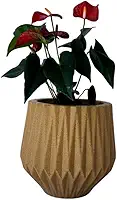 Vaso de Planta Origami P 22 cm de Altura para Planta de Pequeno Porte (Bege)