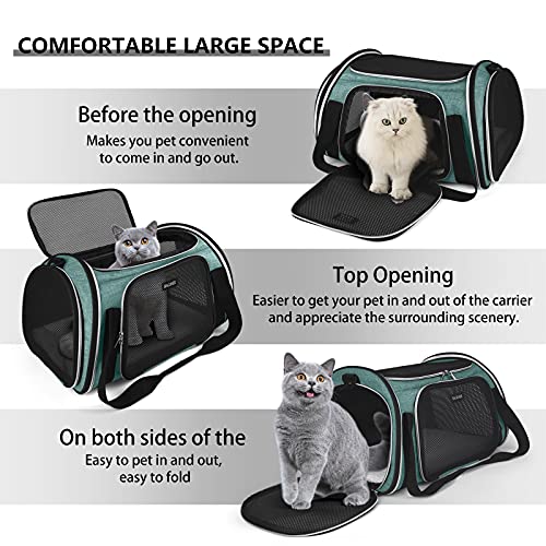 Baglher Pet Travel Carrier, Airline Approved Cat Carriers, Dog Carrier,Suitable For Small And Medium-Sized Cats And Dogs Pet Soft Carrier, Suitable For Travel, Hiking, And Outdoor Use. Green #TOP5