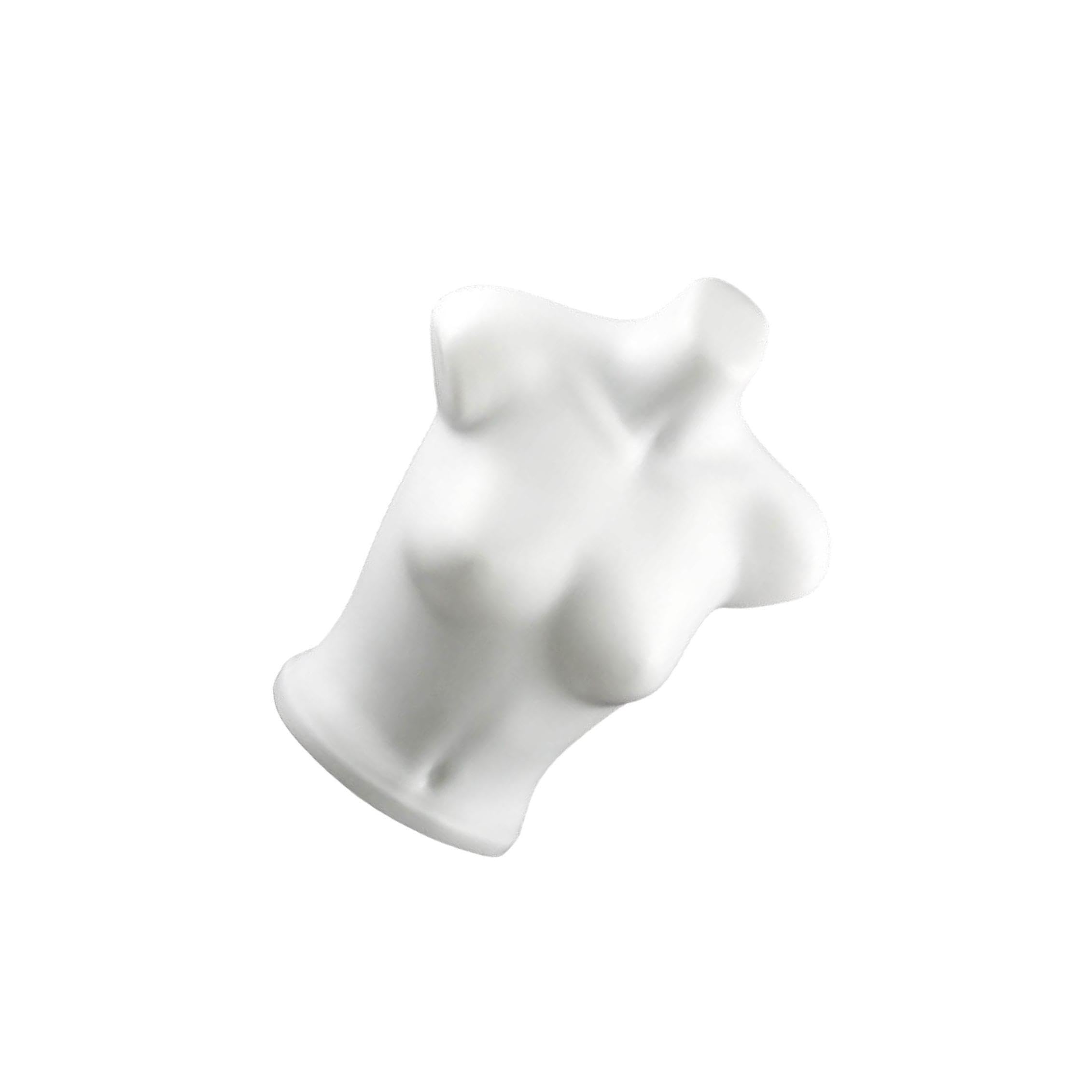 PIXZCSA Photo Opportunities Enhanced With Unique Female Mannequin Torso For Attractive Upper Body Garment Displays Female Mannequin Torso Bra Display