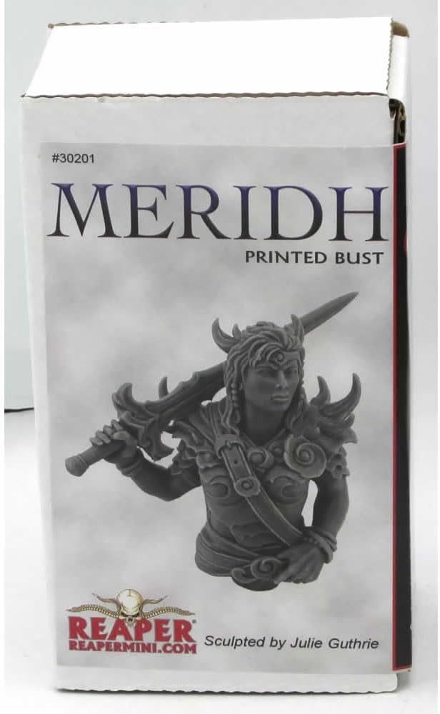 Reaper Female Warrior Bust Miniature Figure Bones USA Miniatures
