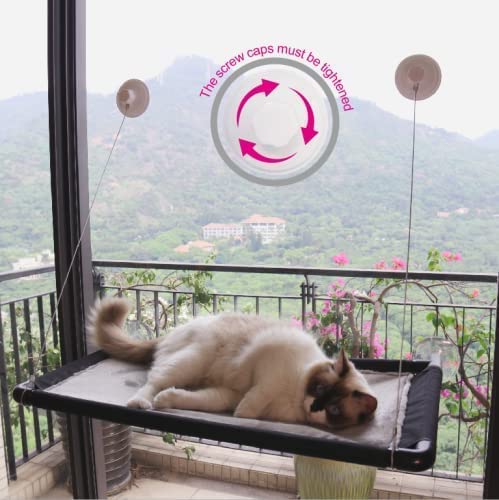 Catogpet, Relax Your Cat, Ease Anxiety, Cat Window Perch | Large 29" x 16" and Vacuum Suction Cup | Cat Window Bed, Cat Window Seat, Cat Hammocks for Indoor Cats, Cat Window Hammock, Cat Bed, Pet Bed - Image 7