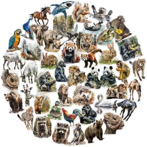 AȃWOXebJ[ 50ADIYhPETXebJ[ p\RAgѓdbAEH[^[{gAוALAXP[g{[hAm[gp\RAJbvA]ԁAXNbvubNp ()