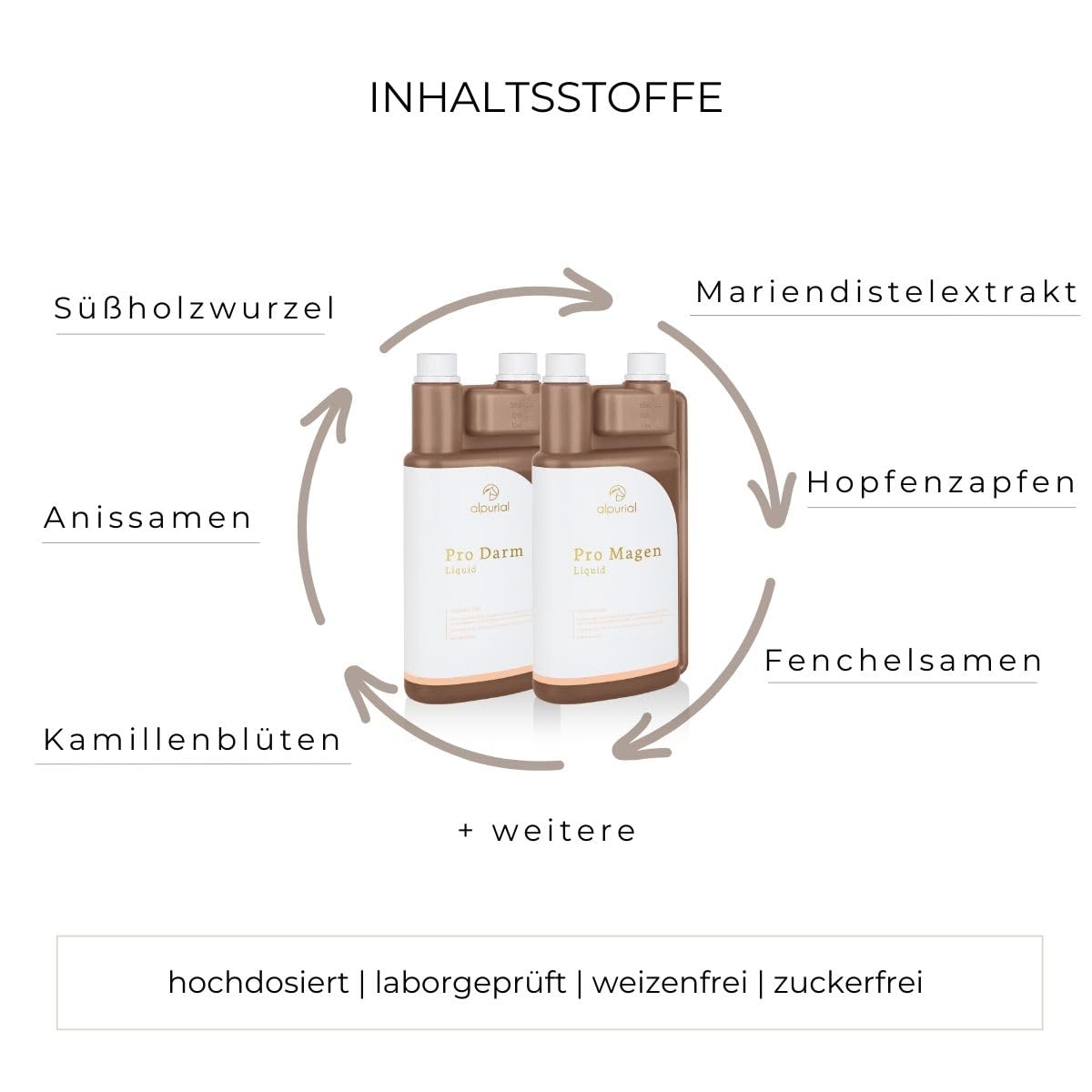 Verdauungsbundle – Ergänzungsfuttermittel für Pferde mit fütterungsbedingtem Verdauungsbedarf – Kombination aus Pro-Darm & Pro-Magen – vom Tierarzt entwickelt