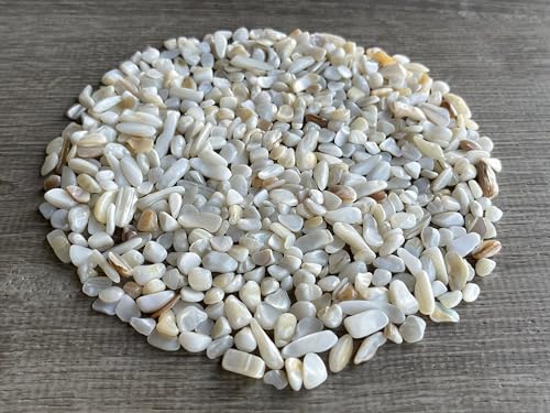 Image of GAF TREASURES 2 oz Lot Natural Semi Tumbled Gemstone Chips, Crushed Mini Crystals, Undrilled Crystal Chips (Mother of Pearl)