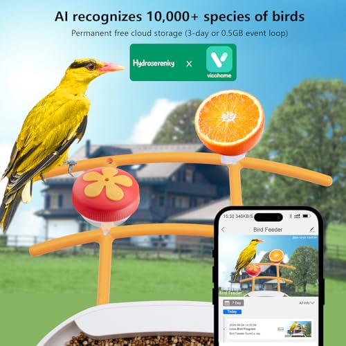 Bird Feeder with Camera Solar Powered, 2K Live Video, for Outdoor Backyard - Ai Identify Auto Capture Videos, Unique Outdoor Gifts for Mom Dad Birdlover