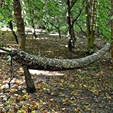 DD Hammock Sleeve – MC