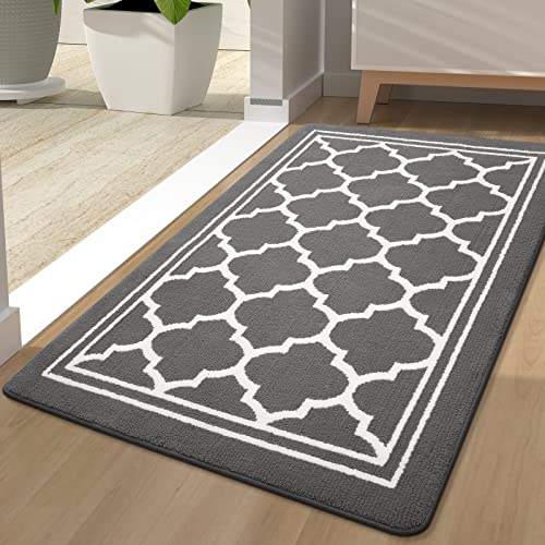 Buganda Indoor Door Mat, Dirt-Resistant and Absorbent Doormat, Anti-Slip, Low Profile Floor Mats for Inside Entryway, Front, and Back Door Entrance (32x20 Inches, Beige)