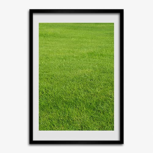Cadre en bois Tulup 50x70 de qualité premium avec affiche herbe verte