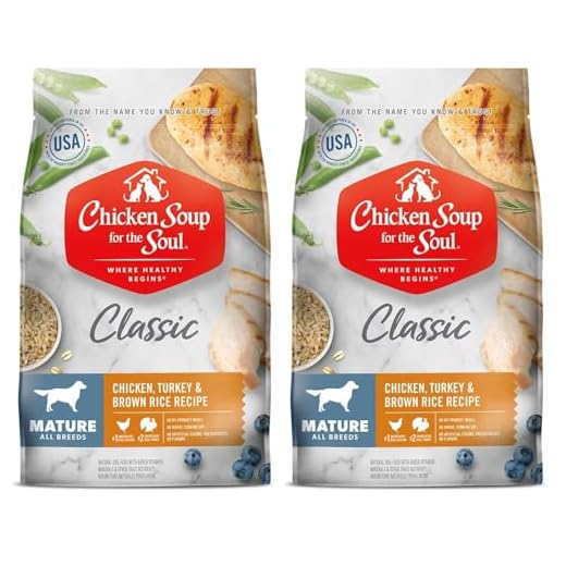 Chicken Soup for the Soul All Natural Premium Senior/Mature Dry Dog Food, Real Meat First Ingredient, No By-Products, Supports Joint Health and Mobility, Chicken, Turkey & Brown Rice, 4.5lb