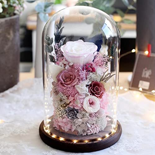 OSONA vU[uht[ ސEj ỉ v[gt[Mtg Ԃ̂悤ȃo ͂Ȃ KXh[ {bNX NX}X o^Cf[ hCt[ ̓ hV̓ AE  ̓ LO җj j JXj