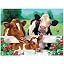 Bees & Cows