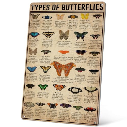HYBLOM Cottagecore Types Of Butterflies Metal Tin Sign - Vintage Wall Art Poster for Home, Garden, Bathroom, and Patio Decor - Gift for Butterfly Lover, Kids 8x12 Inches